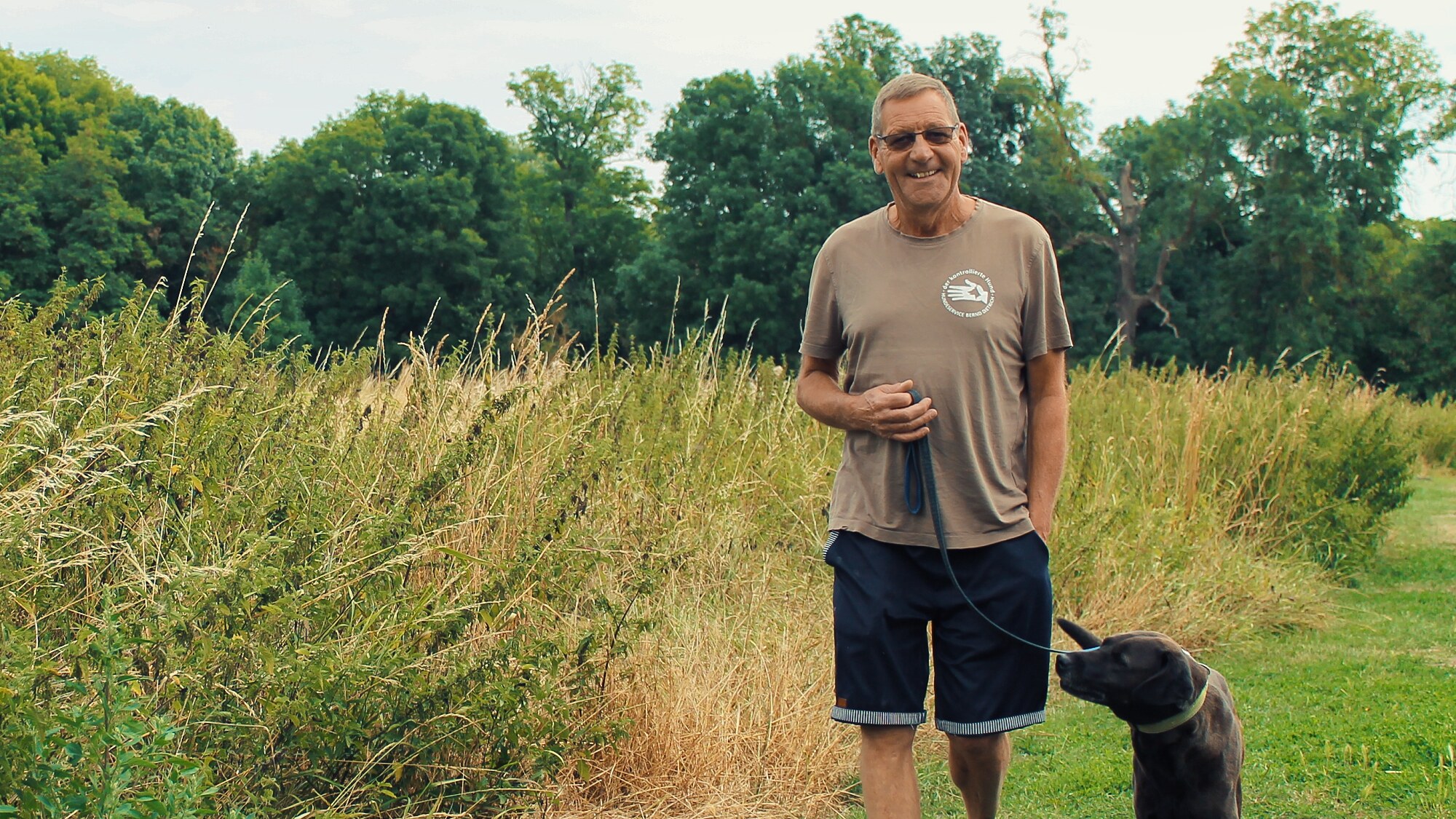 hundeservice-halle-hundeschule-hundepension hundeservice halle hundeschule hundepension